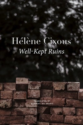Well-Kept Ruins foto