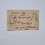 Carte Postala tematica florala Un An Nou Fericit, litografie reliefata, circulata cu timbru Timisoara 1902, Timis / Banat / Romania