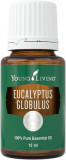 Ulei Esential Eucalipt Globulus (Ulei Esential Eucalyptus Globulus) 15 ML, Young Living