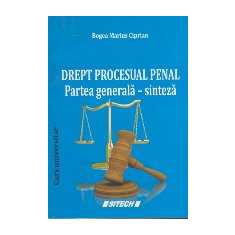 Drept Procesual Penal. Partea Generala - Sinteza