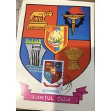 CPIF Stema cu timbru al judetului Cluj