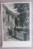 QW23 B - Carte postala - tematica turism - vedere - Romania - Baile Herculane 51, Necirculata, Fotografie