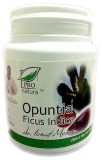 Cumpara ieftin Opuntia Ficus Indica Medica 60cps