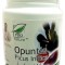Opuntia Ficus Indica Medica 60cps