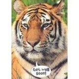 Cards Tiger Get Well Soon