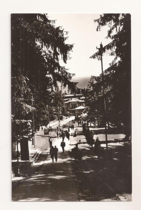 RF72 -Carte Postala- Slanic Moldova, circulata