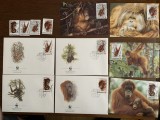 Indonezia - urangutan - serie 4 timbre MNH, 4 FDC, 4 maxime, fauna wwf