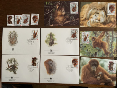 indonezia - urangutan - serie 4 timbre MNH, 4 FDC, 4 maxime, fauna wwf foto