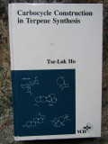 Carbocycle Construction in Terpene Synthesis - Tse&ndash;Lok Ho