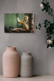 Tablou Canvas, "Maimuța descoperă penajul neașteptat", Nu știu cine este &icirc;n această imagine., 39 x 26 cm, CMCLASS