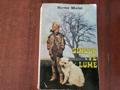 Singur pe lume de Hector Malot foto