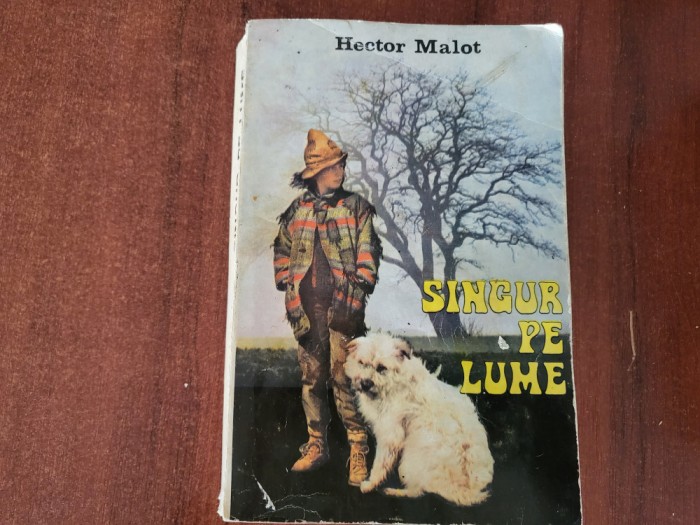 Singur pe lume de Hector Malot