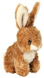 Cumpara ieftin Jucarie Iepuras Plush 15 cm 3590, Trixie