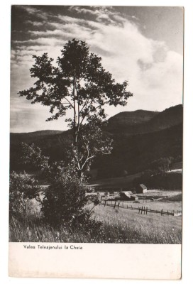 CPIB 21684 - CARTE POSTALA - VALEA TELEAJENULUI LA CHEIA, RPR, NECIRCULATA foto