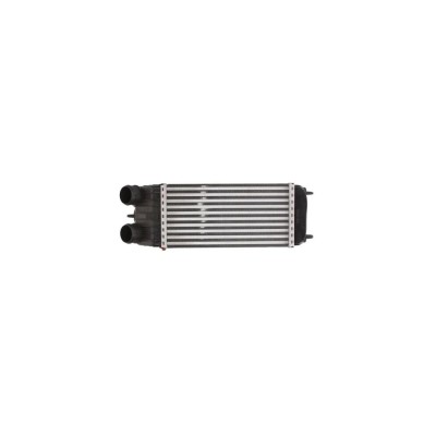 Intercooler CITROEN C3 I FC AVA Quality Cooling CN4252 foto