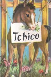 Carte Tchico, ilustrata J. Lagarde, 1973, 10 pagini, brosata, 10x18 cm, franceza