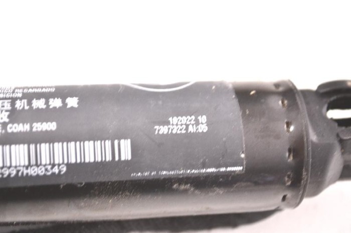Amortizor haion dreapta BMW X3 G01, F97 2018 OEM: 7397322 3724309