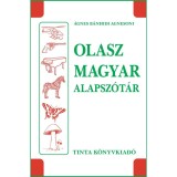 Olasz-magyar alapsz&oacute;t&aacute;r - &Aacute;gnes B&aacute;nhidi Agnesoni