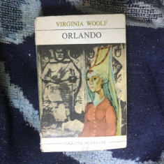 D7 Orlando - Virginia Woolf