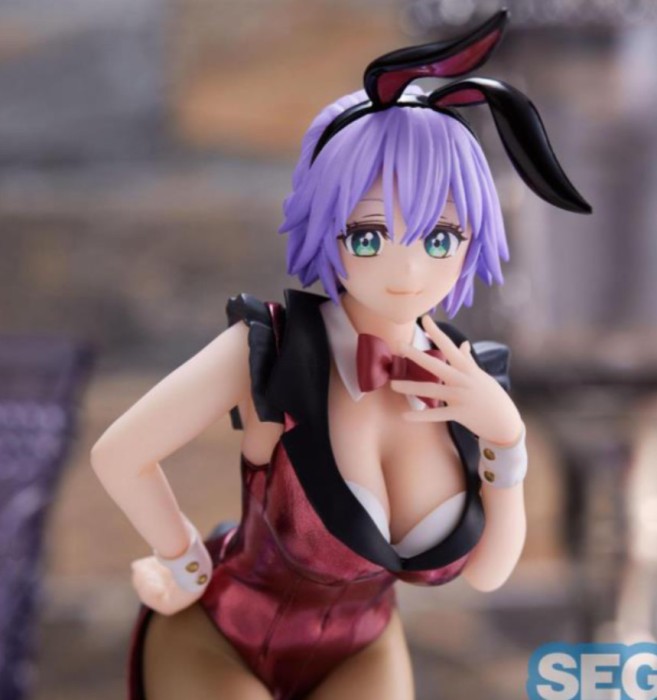 Figurina A Couple of Cuckoos Hiro Segawa 20 cm anime