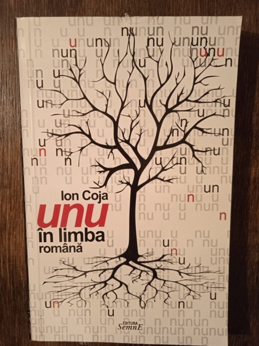 UNU IN LIMBA ROMANA- ION COJA