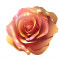 Sticker decorativ Trandafir, Portocaliu, 64 cm, 7676ST