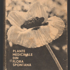 C10037 - PLANTE MEDICINALE DIN FLORA SPONTANA - CONSTANTINESCU CORNELIU, ARTIN