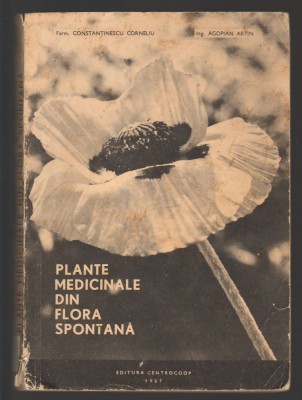 C10037 - PLANTE MEDICINALE DIN FLORA SPONTANA - CONSTANTINESCU CORNELIU, ARTIN foto