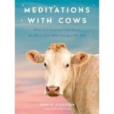 Meditations with Cows