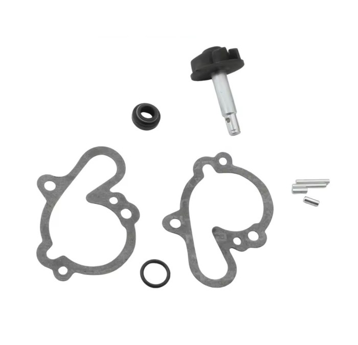 Kit Pompa Apa Scuter Rieju RS2 49cc 50cc 80cc