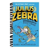 Julius Zebra