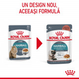 Royal Canin Hairball Care Adult hrană umedă pisică, Limitarea Ghemurilor de blană (&icirc;n sos), 12 x 85g