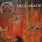 LP Vinil Slayer - Hell Awaits 1985