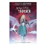 Cumpara ieftin Angel and Spike Vol. 2