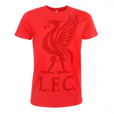 FC Liverpool tricou de bărbați Liverbird red - M