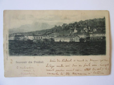 Rara! Carte postala Souvenir din Predeal,circulata 1901 ?tampila rara cu goarna foto