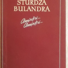 Lucia Sturza Bulandra - Amintiri ... amintiri ...