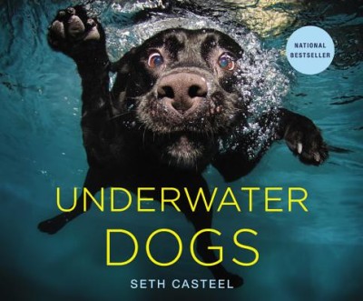 Underwater Dogs foto