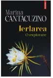 Iertarea - Pimen Vlad - Editura Polirom