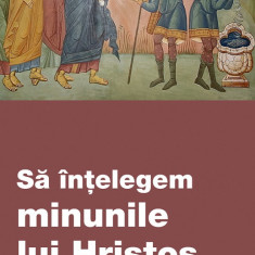 Sa Intelegem Minunile Lui Hristos. Semne Ale Indurarii, Iertarii Si Iubirii Lui Dumnezeu Pentru Oameni, - Editura De Suflet