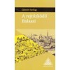 A rejtőzk&ouml;dő Balassi - G&ouml;m&ouml;ri Gy&ouml;rgy