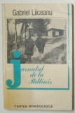 JURNALUL DE LA PALTINIS de GABRIEL LIICEANU , 1983 * PREZINTA PETE