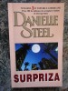 SURPRIZA-DANIELLE STEEL, Brosata
