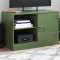 vidaXL Comodă TV, verde măsliniu, 67x39x44 cm, oțel