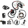 Instalatie Electrica Completa ATV Dirt Bike 125cc 150cc 200cc 250cc 300cc - 8 bobine, TMMP