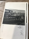 Fotografii Pojorata Suceava