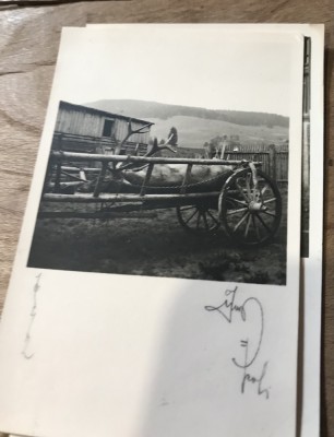 Fotografii Pojorata Suceava foto