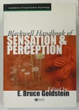BLACKWELL HANDBOOK of SENSATION and PERCEPTION by E. BRUCE GOLDSTEIN, 2005