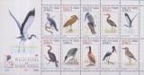 Timbre cu păsări acvatice din Africa de Sud, Nestampilat