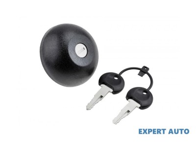Capac rezervor combustibil Renault Megane Scenic (1996-2001)[JA0/1_] #1 foto